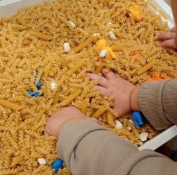 Aktywny Żłobek Kogut Szczecin Gumieńce 10 szczecin kazimierska 6