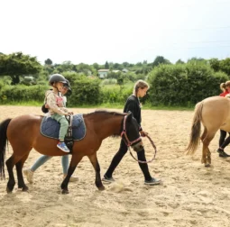 Aktywne Przedszkole Kogut Szczecin 5 szczecin nalkowskiej 4
